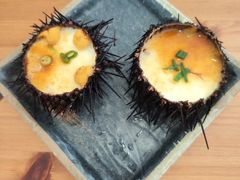 -海胆小馆(东北水饺·春柳店)