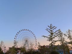 -琴岛之星摩天轮