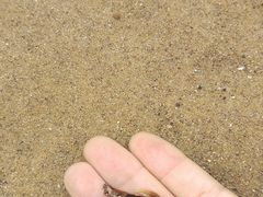 -那香海钻石沙滩浴场