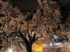 -绿茶餐厅(朝阳大悦城店)