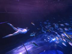 -太平洋海底世界