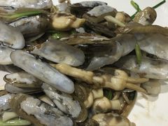-证大喜玛拉雅中心