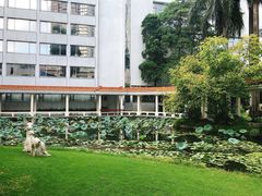 -番禺宾馆丽苑厅