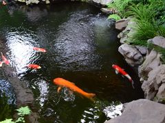 -鲤院·新中式美学·庭院餐厅(夫子庙店)