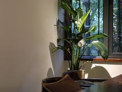 靠窗位-朴物良社(东明锦园店)