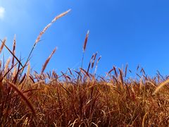 -白石龙音乐公园