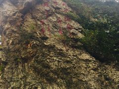 -大连冰峪旅游度假区