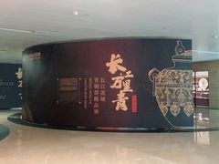 -盘龙城国家考古遗址公园