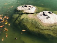 -东山风动石景区