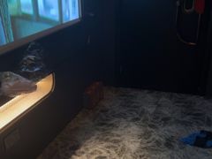 -亦境芳香·SPA影院足道(梅林店)
