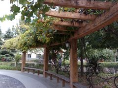 -康梦圆国际老年公寓