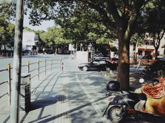 -上海佘山国家森林公园西佘山园