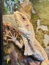 -Zoolung Zoolung动物主题公园(海信广场店)