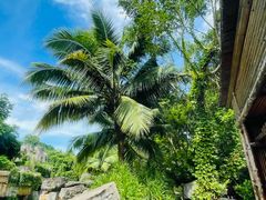 -海口观澜湖火山温泉谷