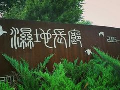 -东郊湿地公园