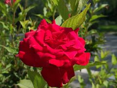 -陕西省红河谷森林公园