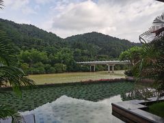 -碧水湾温泉