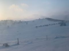 -塞罕坝国家级自然保护区