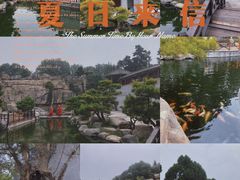 -中国唐苑