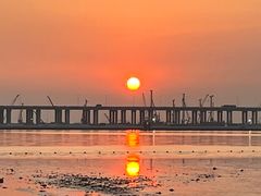 -宝安西湾红树林湿地公园