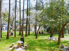 -武汉大学-樱园