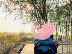 -西青郊野公园