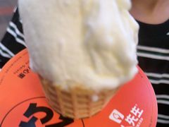 -野人先生现做冰淇淋(北京顺义祥云小镇店)