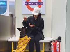 -LIMITED EXPRESS 限定快线