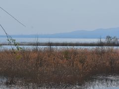 -野鸭湖国家湿地公园