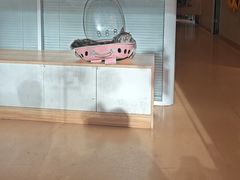 -瑞派·关忠动物医院(国瑞店)