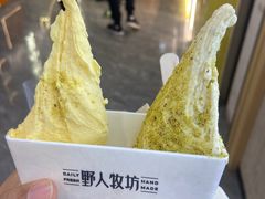 -野人先生现做冰淇淋(西安赛格店)