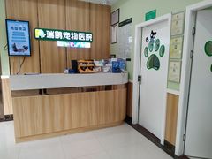 -瑞鹏宠物医院·夜间急症·心超·猫科(祖庙分店)