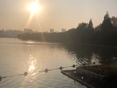 -天鹅湖体育公园