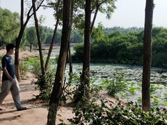 -丁香湖公园