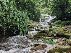 -碧峰峡风景区