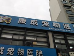 -康成宠物医院24H·CT·核磁共振