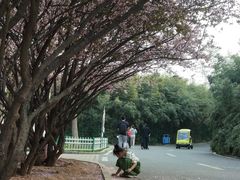 -石家庄市动物园