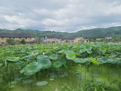 -云水谣景区