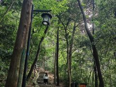 -灵顺寺