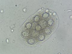 -贝来恩24H动物医院·转诊中心(稻香路店)