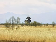 -野鸭湖国家湿地公园