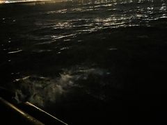 -东疆建设开发纪念公园