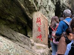 -牛背梁国家森林公园