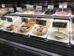 -Dooley's Premium Ice Cream