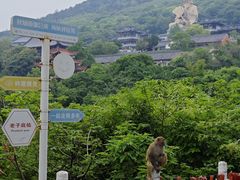 -句容茅山景区