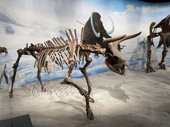 -辽宁古生物博物馆