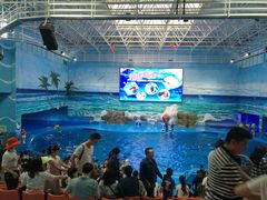 -多彩贵州城极地海洋世界