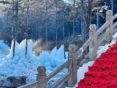 -洛阳白云山景区