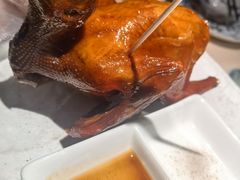 -侨美食家·粤菜(体育西路店)