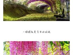 -云幽谷旅游区